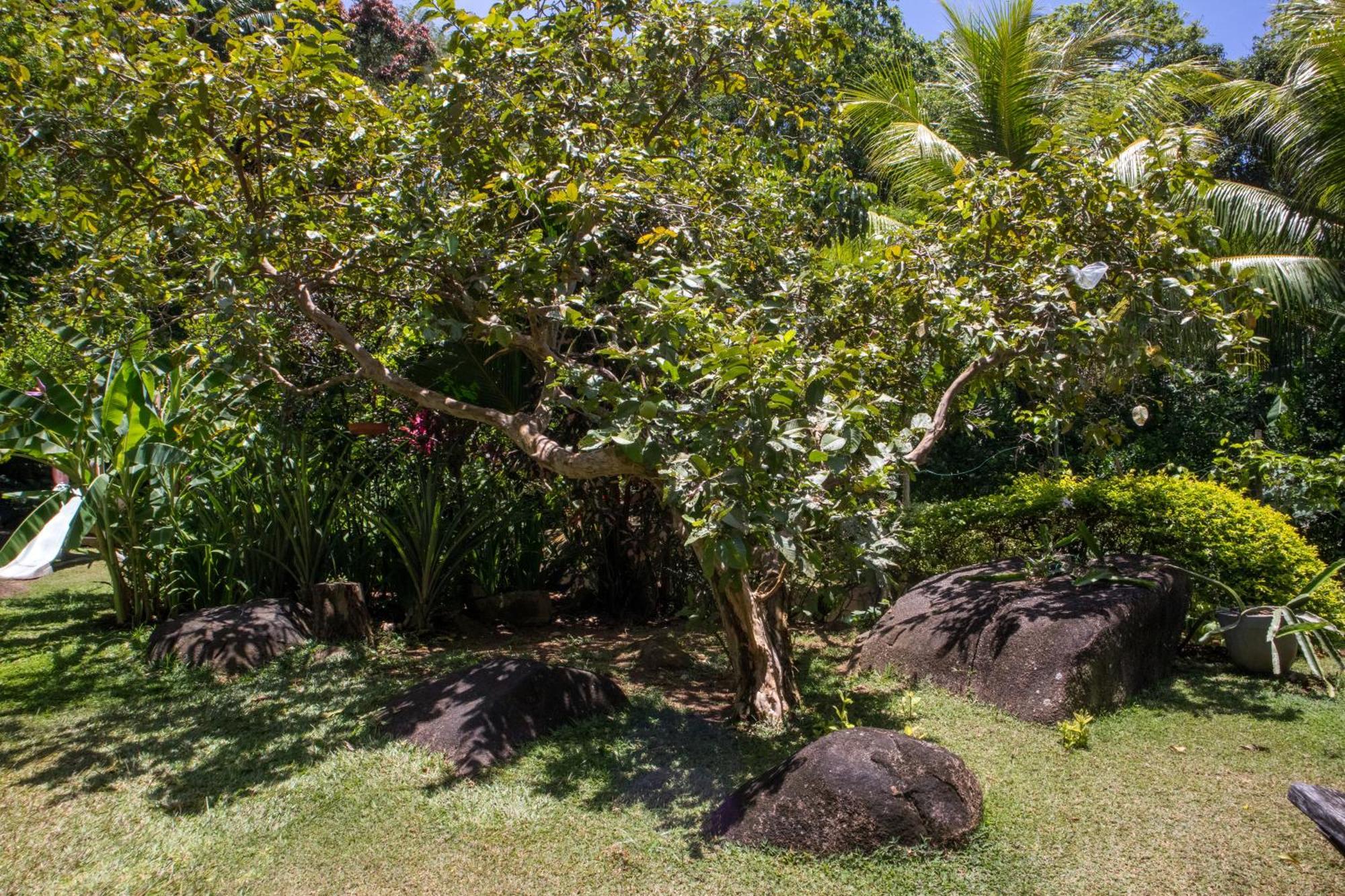 Domaine Desaubin Luxury Villas Takamaka Exteriér fotografie